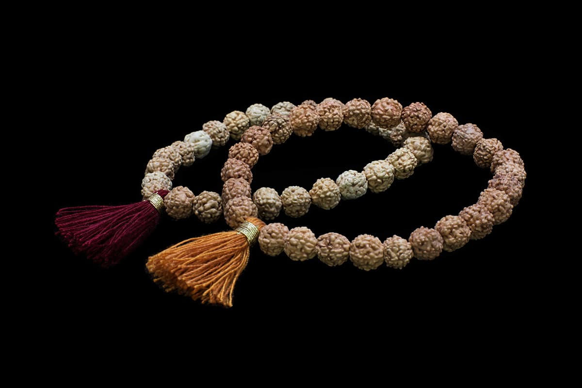 Rudraksha