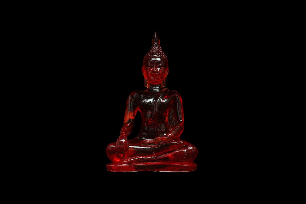 Bouddha Chakra Muladhara