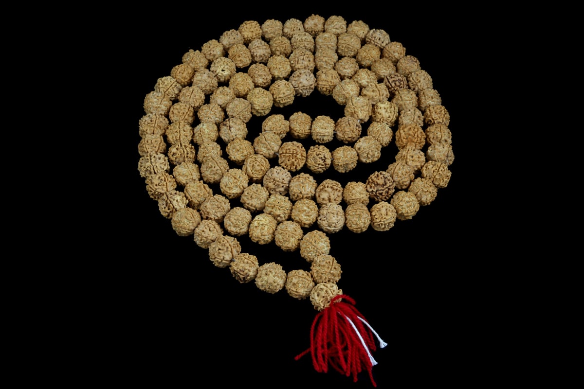 Rudraksha 18mm